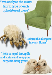 Carpet and upholstery Stain Removal